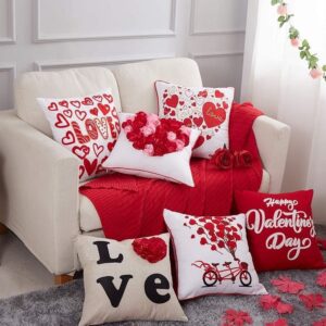 Valentine's Day Scatter Cushion Special