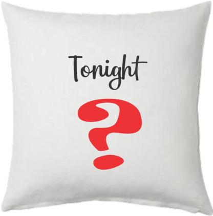 Scatter Cushion 400mm x 400mm You Have No Choice - Image 3